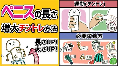 ちんこをでかく増大する方法4選！～長く太く大きな。